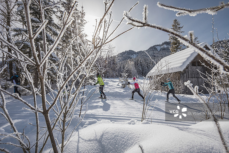 冬季越野滑雪团体图片素材