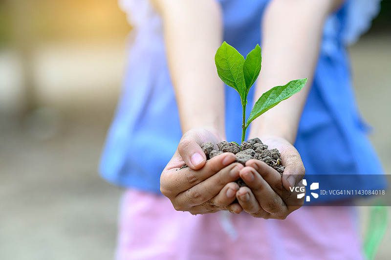 世界地球日：手中生长的小树苗，绿色背景，女性在自然田野草地森林中手捧树木，环保概念图片素材