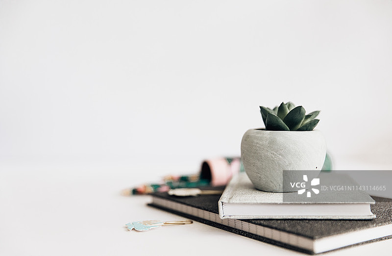 白色办公桌、办公用品和多肉植物图片素材