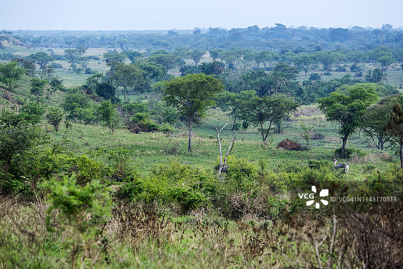 非洲全景风光图片素材