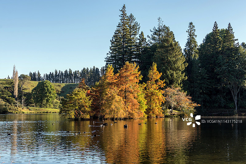 秋天的颜色图片素材