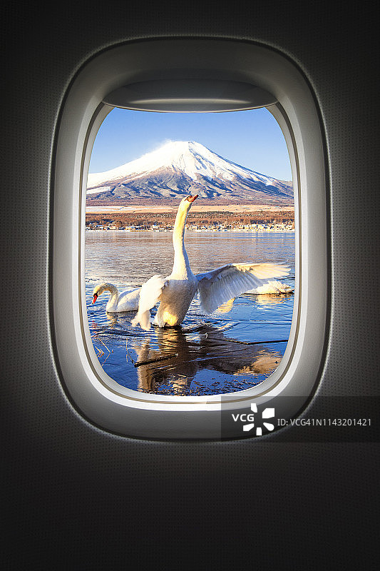 富士山：山中湖天鹅与飞机舷窗，日本图片素材