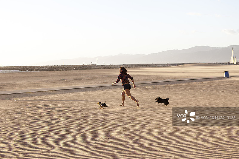 美国加利福尼亚州洛杉矶威尼斯海滩旁的雷伊海滩图片素材