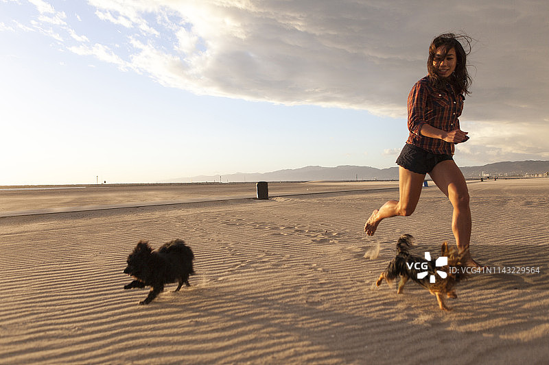 美国加利福尼亚州洛杉矶威尼斯海滩旁的雷伊海滩图片素材