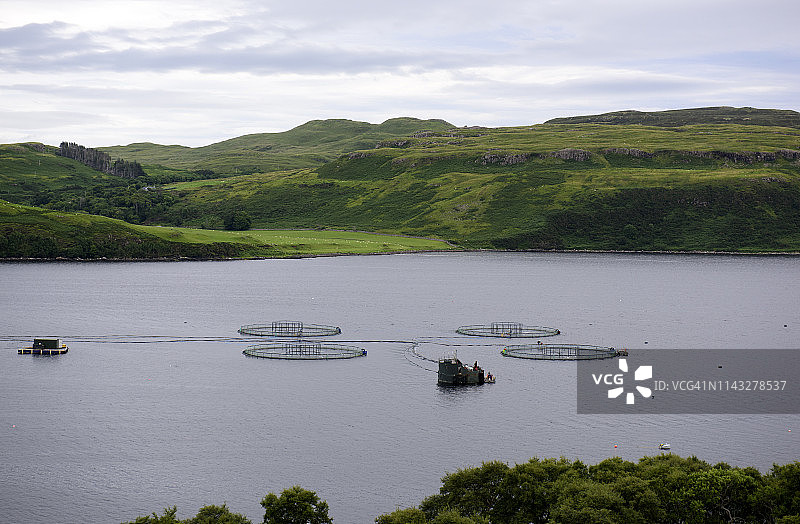 苏格兰斯凯岛波特纳隆的水产养殖图片素材