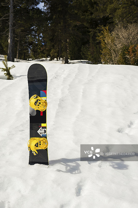 森林中雪地上的滑雪板图片素材