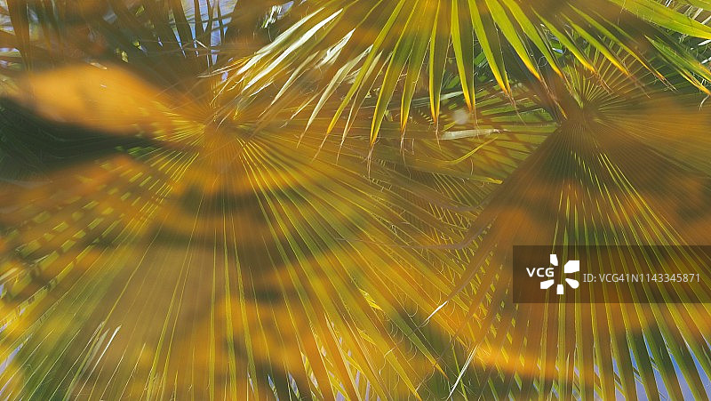 不足为奇图片素材