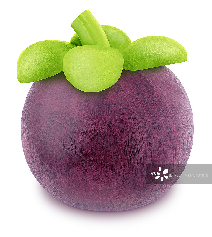 新鲜采摘的单个山竹，经润饰的影棚照片图片素材