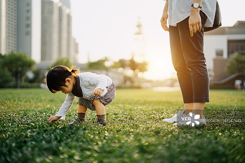 好奇的幼儿女孩在公园与母亲散步时蹲着摘草图片素材