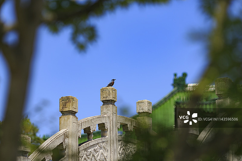 中式园林景观图片素材