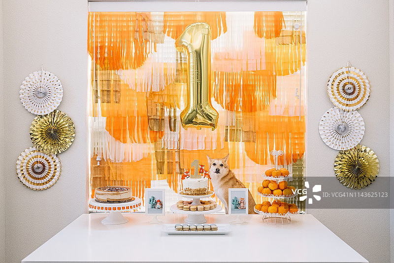 橙色主题生日图片素材