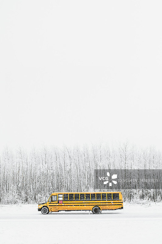 在加拿大卡尔加里雪天停放的校车图片素材