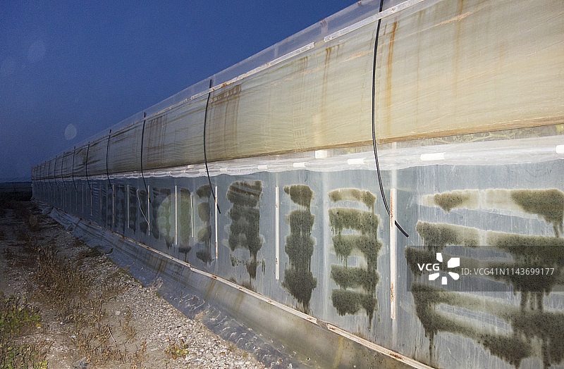 塑料温室图片素材