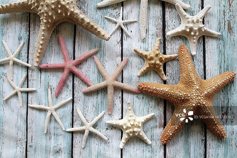 质朴背景上的海星，带文案空间图片素材