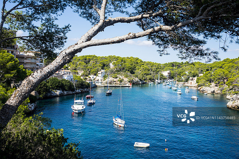 西班牙巴利阿里群岛马略卡岛卡拉隆巴斯帆船图片素材