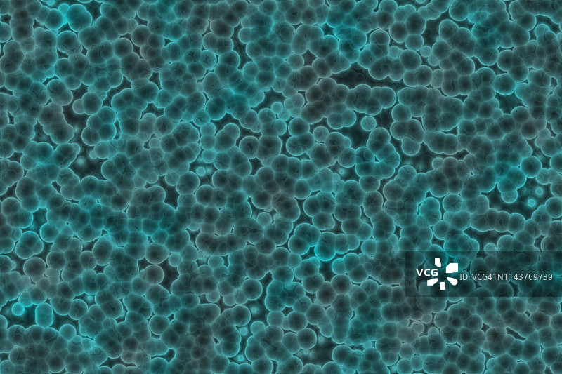 细菌细胞的形状：球菌，杆菌，螺旋菌图片素材