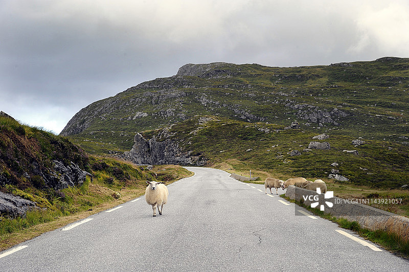蒂尔·夸尔海姆图片素材
