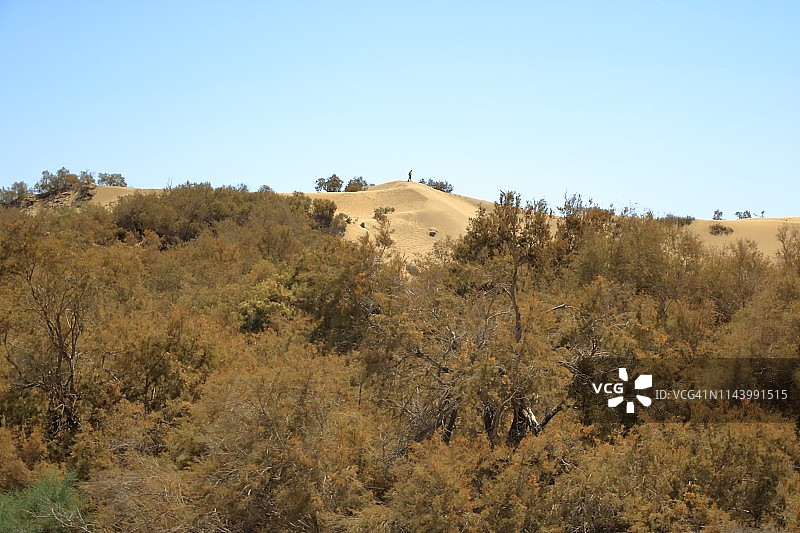 大加那利岛马斯帕洛马斯沙丘航拍景色图片素材