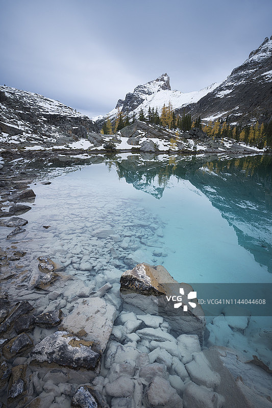 加拿大不列颠哥伦比亚省幽鹤国家公园，奥哈拉湖区的莱夫罗伊湖和维瓦克西峰的冰川色水图片素材