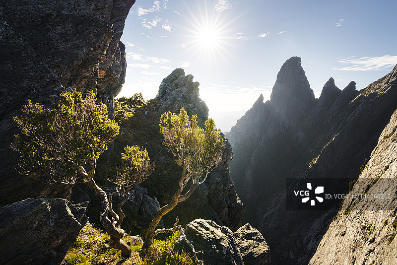 澳大利亚塔斯马尼亚西南国家公园植物景观图片素材