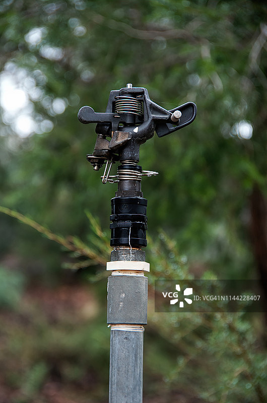 花园苗床中的喷头图片素材