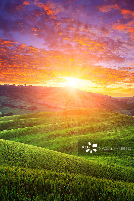 意大利托斯卡纳的绿色山丘图片素材