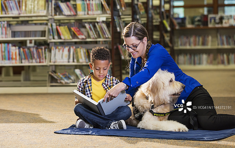 混血男孩在图书馆与治疗犬一起阅读图片素材