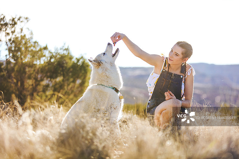 充满活力的青少年女性在科罗拉多州户外与哈士奇犬一起探索荒野系列图片素材