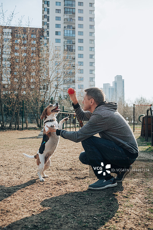 男人和小猎犬图片素材