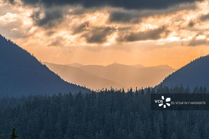 华盛顿雷尼尔山国家公园日落时分的丘陵森林山景图片素材