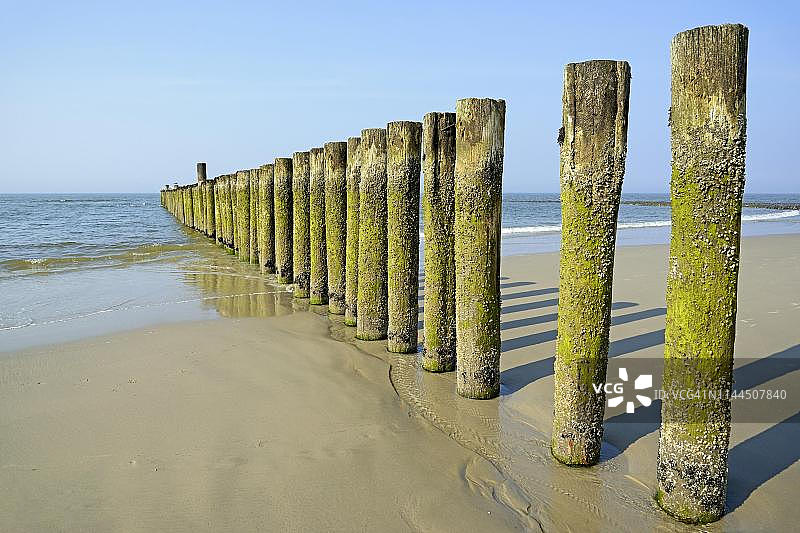 德国下萨克森北海望格罗格岛：退潮时附着海藻和藤壶的海堤图片素材