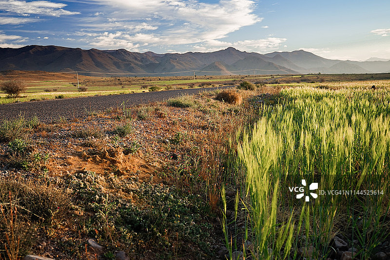 摩洛哥非洲沙漠中的农田图片素材