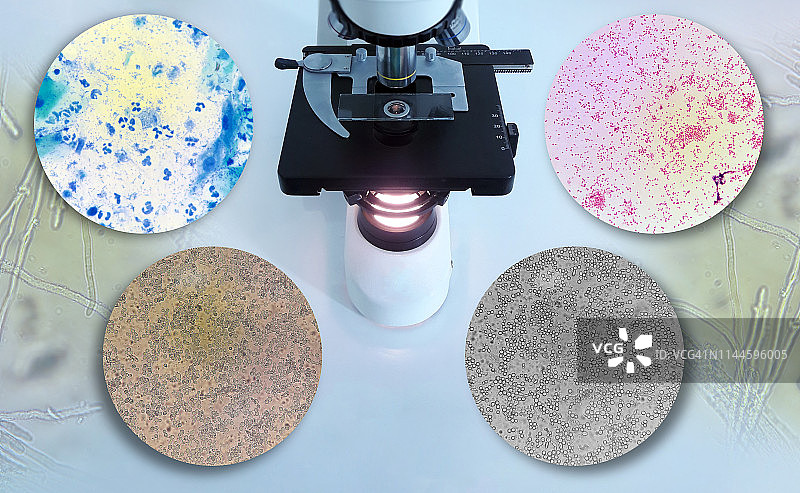 显微镜以及显微镜下的图像照片图片素材