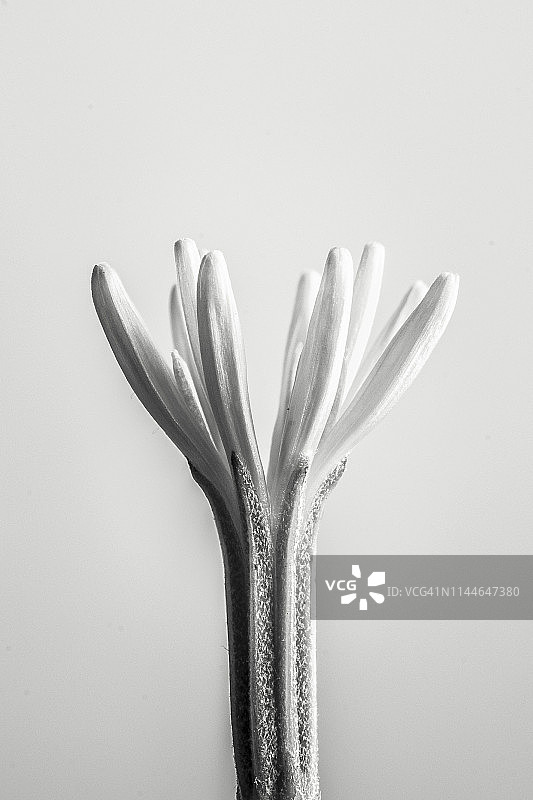 自然建筑图片素材