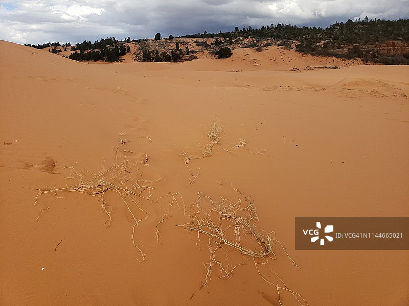 珊瑚粉红沙丘州立公园，犹他州图片素材