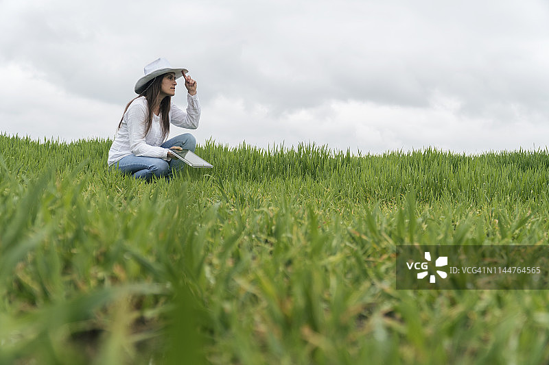 使用平板电脑在绿色麦田行走的现代女农民。农业创新。户外工作的女领导者。图片素材