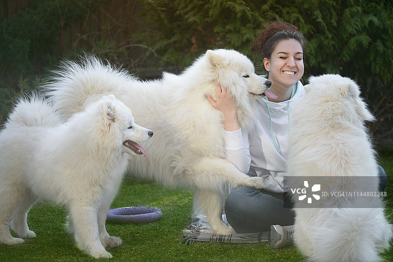 女人和萨摩耶犬（夏季）图片素材