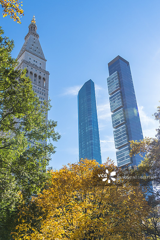 2018年11月8日，纽约麦迪逊广场公园的秋色树木与曼哈顿中城高楼图片素材