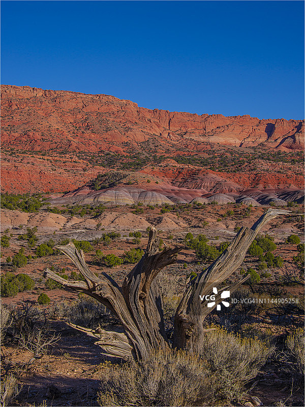 亚利桑那州帕里亚峡谷和朱红悬崖荒野地区的白色口袋蓝天图片素材