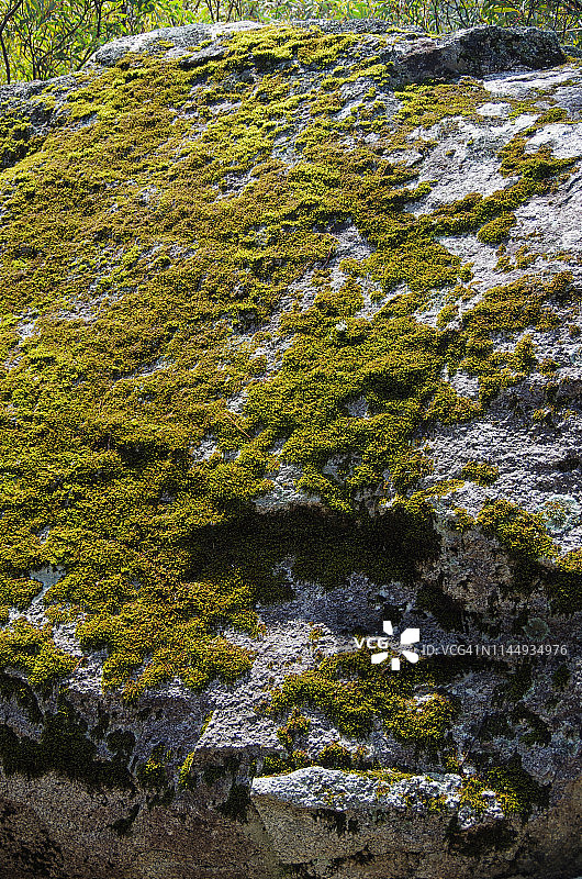 科希丘什科国家公园斯雷德博河谷沿线花岗岩巨石上生长的苔藓，澳大利亚新南威尔士州雪山图片素材