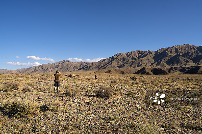 游客在吉尔吉斯斯坦科奇科尔附近拍摄双峰骆驼图片素材