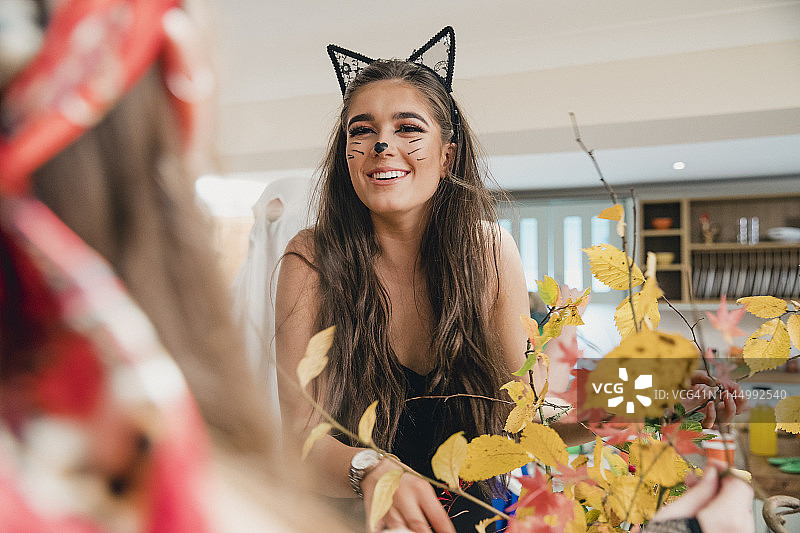 可爱的猫咪服装图片素材