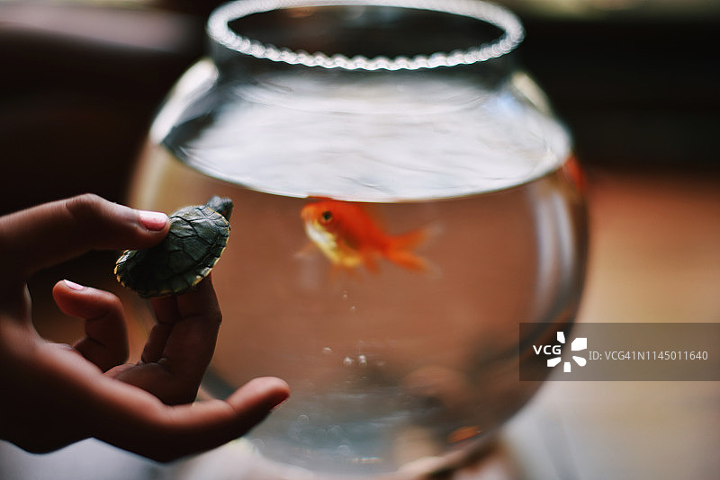 成为朋友图片素材