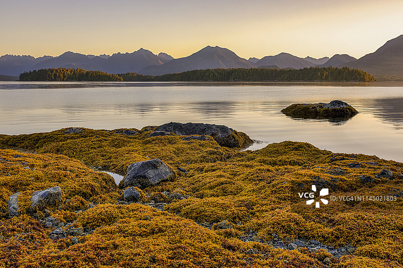太平洋沿岸国家公园保护区，温哥华岛多德岛日出图片素材