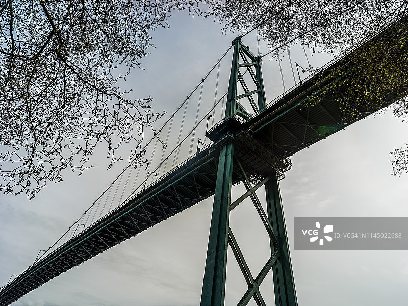 斯坦利公园狮门大桥的仰视视角图片素材