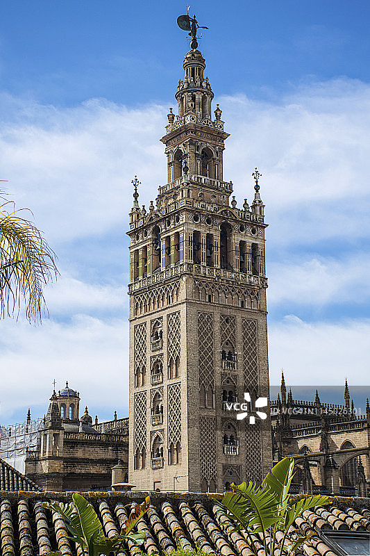 塞维利亚大教堂的吉拉尔达钟楼和屋顶图片素材