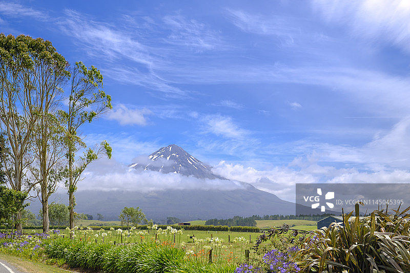 塔拉纳基山与草地农场图片素材