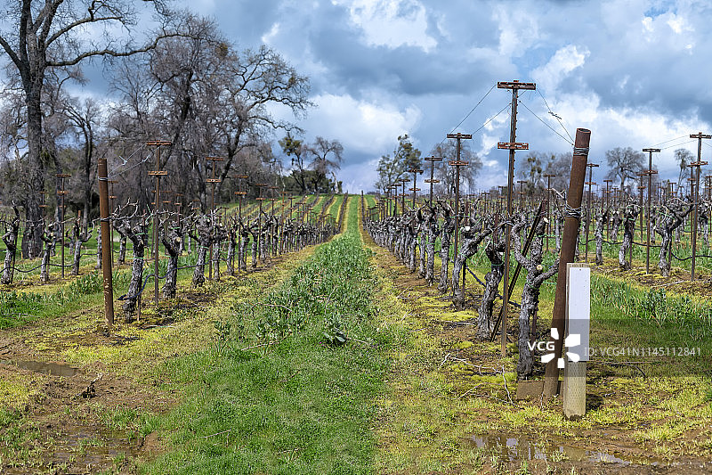 阿马多尔县葡萄酒厂6图片素材