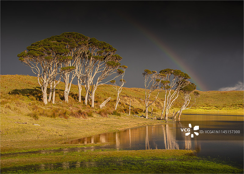 塔斯马尼亚金岛梨形泻湖西海岸的风暴图片素材