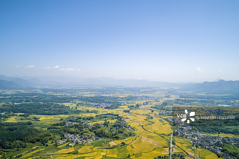 中国安徽绩县的稻田图片素材